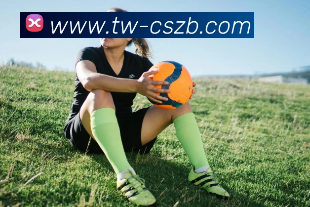 彩神争霸平台生态图